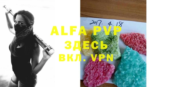 прущие грибы Надым