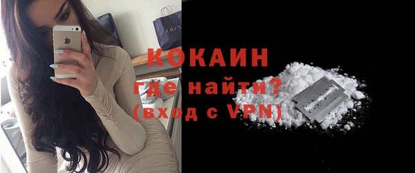 прущие грибы Надым