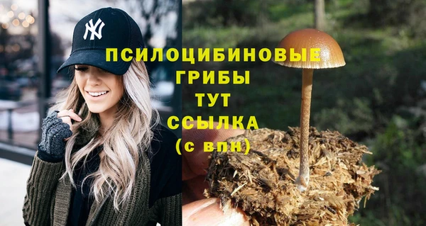 бошки Аша