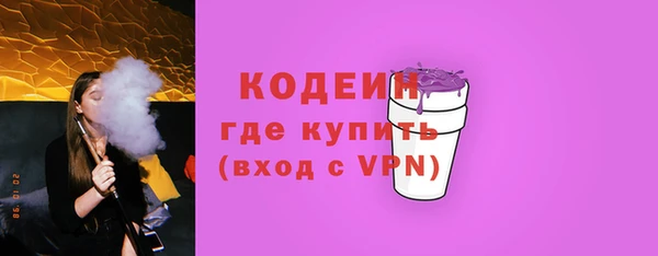 прущие грибы Надым