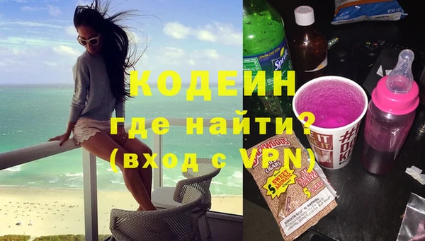 прущие грибы Надым