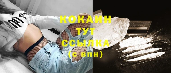прущие грибы Надым